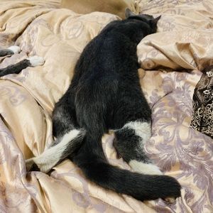 Meet your Posher, Joseph